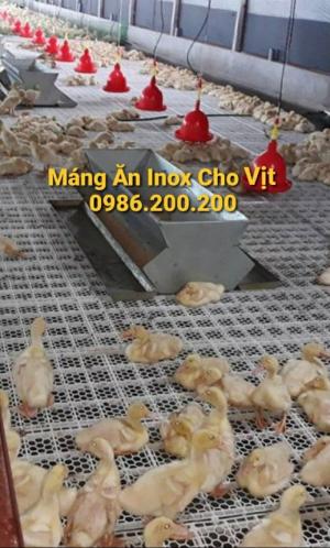 Máng ăn inox cho vịt, máng ăn inox dài cho vịt, máng ăn cho vịt