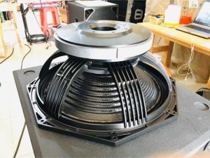 Bass Sub RCF CPX2000 Carbon từ 280 coil 125