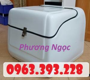 Thùng chở hàng cỡ trung, thùng giao hàng giữ nhiệt