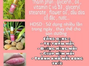 Chất lượng & uy tín tiêu chuẩn hàng đầu
