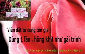 Viên đặt tử cung tôn gia