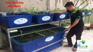 Bán thùng nhựa nuôi cá các loại giá rẻ toàn quốc