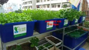 Bán thùng nhựa nuôi cá các loại giá rẻ toàn quốc