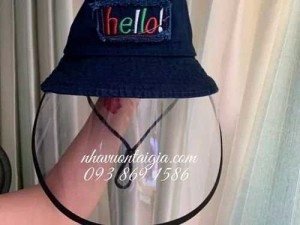 Khẩu trang mũ che mặt kính trong suốt