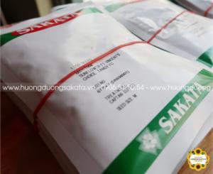 hat giong hoa huong duong cat canh sakata