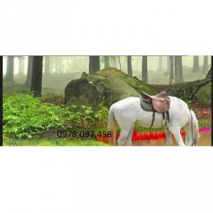 Gạch tranh vườn hoa 3D