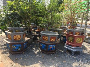 Chậu cao cấp, chậu kiểng