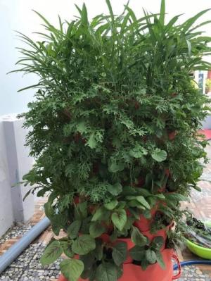 Tháp trồng rau thông minh xoay 360 độ