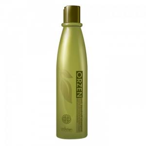 Dầu gội trị gầu, vẩy nến Orzen Anti Dandruff Shampoo 320ml