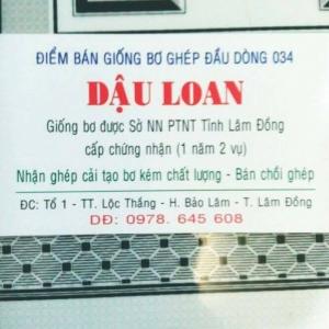 giống sầu riêng thái và giống bơ 034 thuần chủng - vườn bơ 034 đầu dòng dậu loan