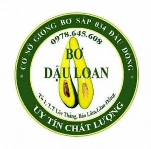 giống sầu riêng thái và giống bơ 034 thuần chủng - vườn bơ 034 đầu dòng dậu loan