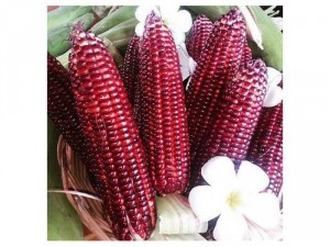 Thực phẩm sạch ,tươi