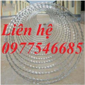Chuyên sản xuất dây thép gai mạ kẽm, dây thép gai hình dao chống trộm