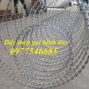 Chuyên sản xuất dây thép gai mạ kẽm, dây thép gai hình dao chống trộm