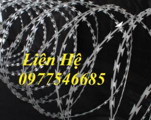 Chuyên sản xuất dây thép gai mạ kẽm, dây thép gai hình dao chống trộm