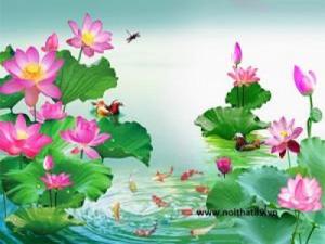 tranh thủy mặc hoa sen 3d