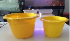 Chậu bát giác- Chậu hoa nhựa Thakico