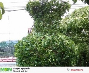 Cây xanh tạo hình 12 con giáp