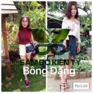 Sâm tăng cân,hiệu quả không tích nước