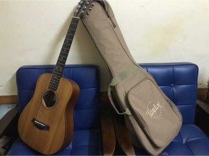 Guitar Taylor Baby BT1e (xách tay)