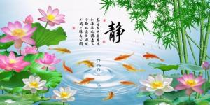 Bộ gạch tranh hoa sen và cá chép