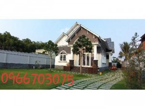 Trồng cỏ nhung Nhật sân vườn lót đá