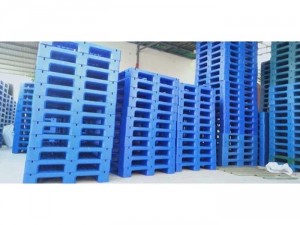 Pallet nhựa Việt Nam