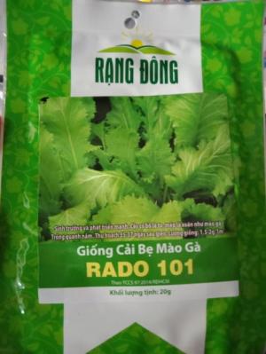 Hạt giống cải bẹ mào gà Rạng Đông