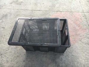 Bán Sọt Nhựa Đựng Hoa Quả và Trái Cây Rau Củ vvv