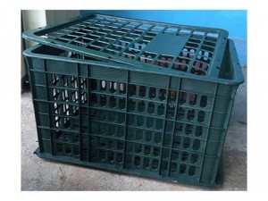 Bán Sọt Nhựa Đựng Hoa Quả và Trái Cây Rau Củ vvv