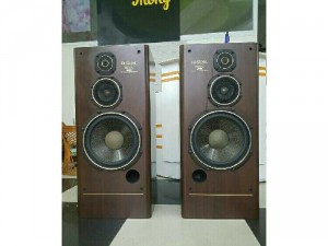 Loa Nhật DIATONE DS-97C