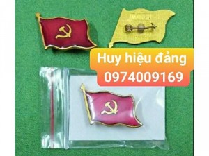 Bán huy hiệu đảng