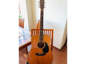 cây đàn guitar morris w60