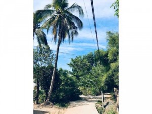 ĐẤT SÀO VEN SÔNG GIÁ RẺ NHẤT THỊ TRƯỜNG NGAY THÀNH PHỐ CHỈ 1,5 TỶ SÀO