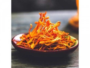 Thần dược đông trùng hạ thảo