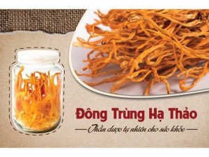 Thần dược đông trùng hạ thảo