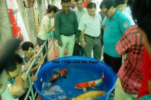 Bồn nhựa tròn nuôi cá 1500 lít giá rẻ