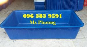 Thùng nhựa chữ nhật 1000l