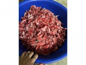 nhung hươu hương sơn-mật ông rừng nguyên chất