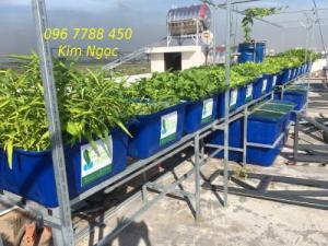 Thùng nhựa nuôi cá 1100 lít hình chữ nhật giá rẻ