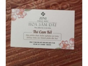 trà giảm cân hoa sâm đất dạng viên mẫu mới
