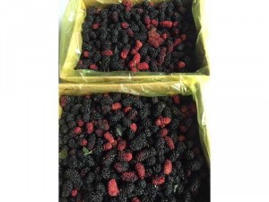 Dâu tằm Đà Lạt thùng 3kg