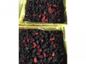 Dâu tằm Đà Lạt thùng 3kg