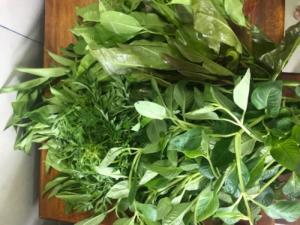 Rau rừng Tây Ninh