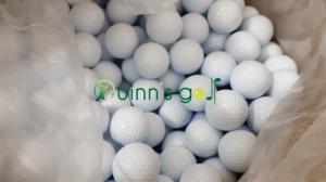 Banh Golf In Logo