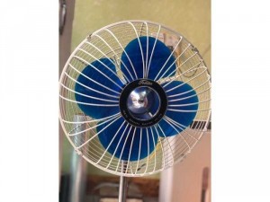 Quạt Toshiba chân voi