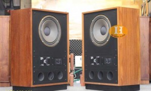 Loa Tannoy Arden Kiềng Tròn đẹp xuất sắc