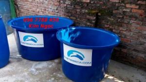 Bồn tròn 3000 lít làm hồ bơi