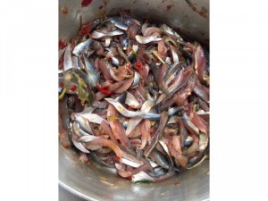 Chả giò cá trích