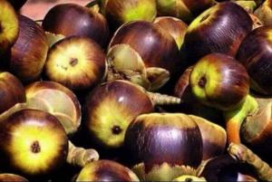 Thốt nốt rim đường thốt nốt- Đặc sản biên giới